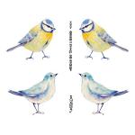 Joggles Collage Sheets - Watercolor Blue Titmouse & Bluebird [JG401031]