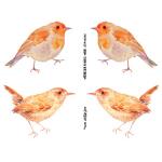 Joggles Collage Sheets - Watercolor Robin & Wren [JG401030]