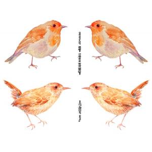 Joggles Collage Sheets - Watercolor Robin & Wren [JG401030]