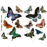 Joggles Collage Sheets - Papillion I [JG401027]