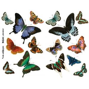Joggles Collage Sheets - Papillion I [JG401027]