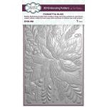 Creative Expressions 3D Embossing Folder - Poinsettia Bliss [EF3D-066]