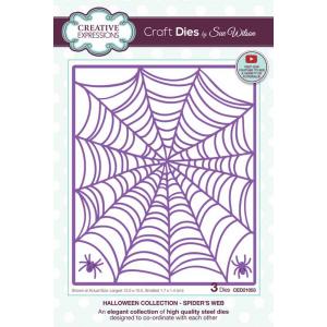 Creative Expressions / Sue Wilson Craft Dies - Spider's Web [CED21053]