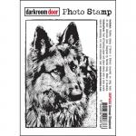 Darkroom Door Photo Cling Stamp - German Shepherd [DDPS052]