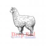 Deep Red Stamps - Alpaca