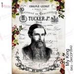 Dress My Craft Transfer Me Sheet - My King [DMCDP2642]