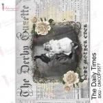 Dress My Craft Transfer Me Sheet - The Daily Times [DMCDP3577]