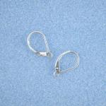 Sterling Silver Leverback Earring (with Ring) [SS202]