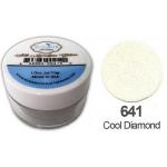 Elizabeth Craft Designs Silk Microfine Glitter - Cool Diamond [641]
