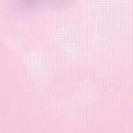 Basic Grey "Euphoria" - [EUP-1256] Luster