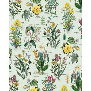 Grafiche Tassotti A4 Paper - Flora [1548]