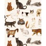 Grafiche Tassotti A4 Paper - Gatti [1700]