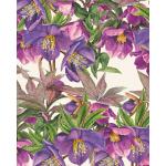 Grafiche Tassotti A4 Paper - Helleboro Blu [205]