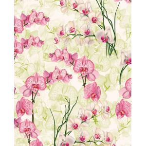 Grafiche Tassotti A4 Paper - Orchidea [472]
