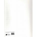 Grafix Opaque White Craft Plastic 9" x 12" - Pack Of 10 [K10OWCP912-10]