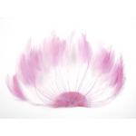 Feather Half Hackle Plate - Orchid