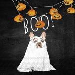 IHR Cocktail Napkins - Boo Dog Black [C1089807]