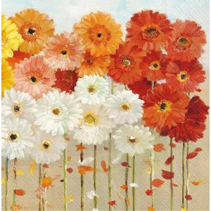 IHR Cocktail Napkins - Daisies Fall [C1057700]