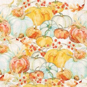 IHR Cocktail Napkins - Watercolor Pumpkins [C028900]