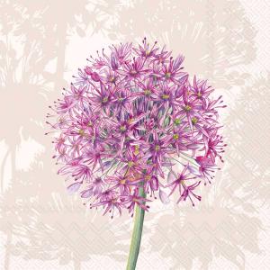 IHR Cocktail Napkins - Allium, Cream [C1101360]