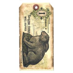 In The Land Of Elsewhere Tags - Amazing Things Happen [005]