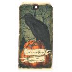 In The Land Of Elsewhere Tags - Darkness [035]