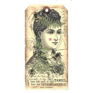 In The Land Of Elsewhere Tags - I Too Am Not A Bit Tamed [010]