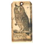 In The Land Of Elsewhere Tags - Keep Looking For Sunshine [102]