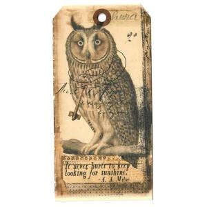 In The Land Of Elsewhere Tags - Keep Looking For Sunshine [102]