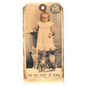 In The Land Of Elsewhere Tags - One Cat Short Of Crazy [072]