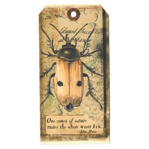 In The Land Of Elsewhere Tags - One Touch Of Nature [107]