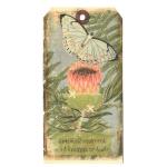 In The Land Of Elsewhere Tags - Remember Today [039]