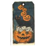 In The Land Of Elsewhere Tags - Starlit Night [098]