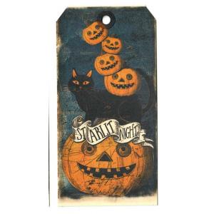 In The Land Of Elsewhere Tags - Starlit Night [098]