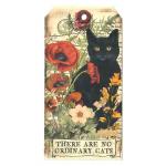 In The Land Of Elsewhere Tags - There Are No Ordinary Cats [031]