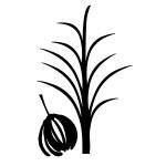 Joggles / Margaret Applin Designs 6" x 9" Stencil/Mask Combo - Flora & Fronds #1 [33817]