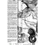 Joggles A4 Rice Paper - Black & White Delphinus [74269]