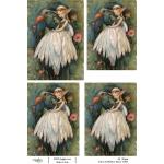 Joggles A4 Rice Paper - Fairies & Warblers - Marin [75024]