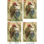 Joggles A4 Rice Paper - Fairies & Warblers - Silvana [75026]