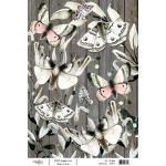 Joggles A4 Rice Paper - Moths #1 [57377] - ON SALE!