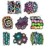 Joggles / Art Journal Love Foam Stamps - Lucienne Day Set Of 8, September 2026 [52549]