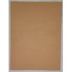 Joggles Cardstock - Kraft 9" x 12" [74309]