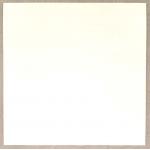 Joggles Cardstock - Smooth & Sturdy White 12" x 12" [74313]