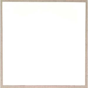 Joggles Cardstock - Speckled 12" x 12" [74315]