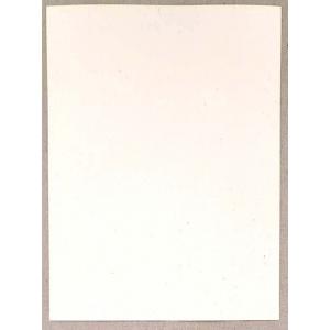 Joggles Cardstock - Speckled 9" x 12" [74310]