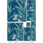 Joggles / Caroline Duncan A4 Rice Paper - Cyanotype #2 - 1937 Ledger [74760]
