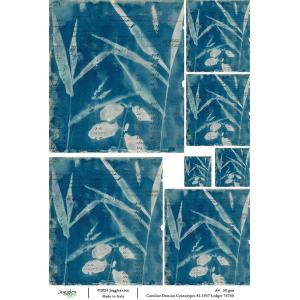 Joggles / Caroline Duncan A4 Rice Paper - Cyanotype #2 - 1937 Ledger [74760]