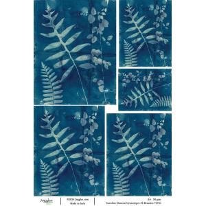 Joggles / Caroline Duncan A4 Rice Paper - Cyanotype #2 - Beauties [74761]