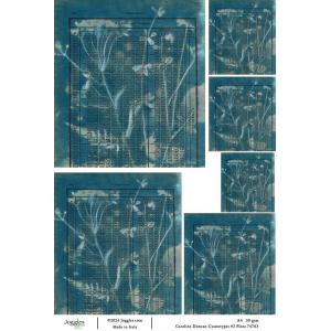Joggles / Caroline Duncan A4 Rice Paper - Cyanotype #2 - Flora [74763]