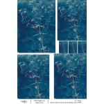 Joggles / Caroline Duncan A4 Rice Paper - Cyanotype #2 - Meadow Grass [74766]